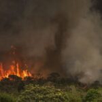 Câmara aprova aumento de punição a quem provocar incêndios florestais