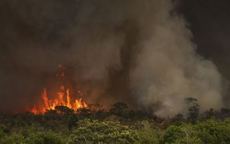 Câmara aprova aumento de punição a quem provocar incêndios florestais