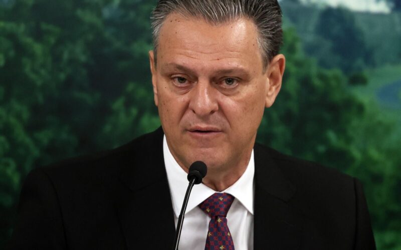 Combate à gripe aviária mostra eficiência do Brasil, diz ministro
