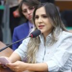 Comissão aprova proposta que prevê transporte gratuito de cadeira de rodas em avião