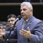 Comissão aprova regras para criação doméstica e comercialização de aves nativas ou exóticas - Notícias