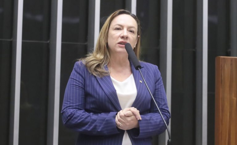 Comissão aprova valorização do trabalho das artesãs brasileiras - Notícias