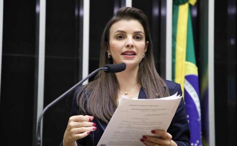 Comissão debate criação do Dia Nacional do Alho Brasileiro - Notícias