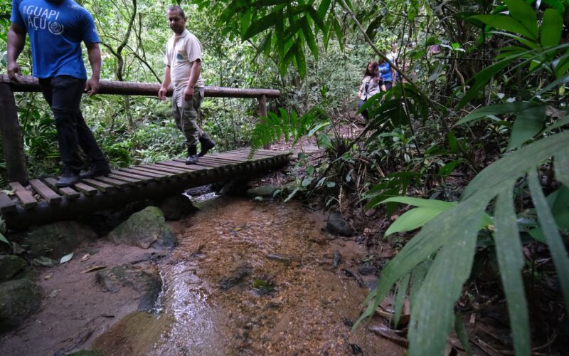 Confira os principais cuidados a serem tomados ao fazer trilhas