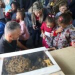 Cresce a venda de mel e derivados na XXIV Feira do Mel de Santa Catarina