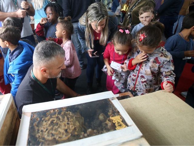 Cresce a venda de mel e derivados na XXIV Feira do Mel de Santa Catarina