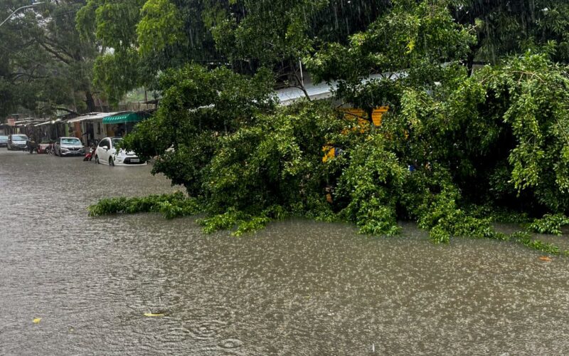 Defesa Civil Alerta é lançado no Nordeste para notificar riscos