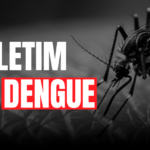 Dengue SC: Saúde registra mais de 45 mil focos do  mosquito Aedes aegypti no estado