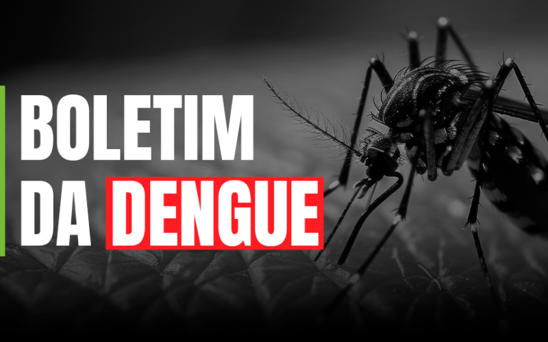 Dengue SC: Saúde registra mais de 45 mil focos do  mosquito Aedes aegypti no estado