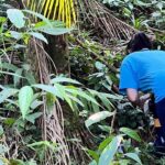 Do coração da Mata Atlântica, uma solução catarinense ao uso de agrotóxicos e às superbactérias