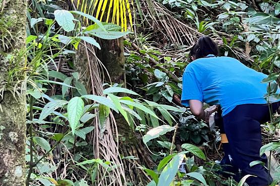 Do coração da Mata Atlântica, uma solução catarinense ao uso de agrotóxicos e às superbactérias