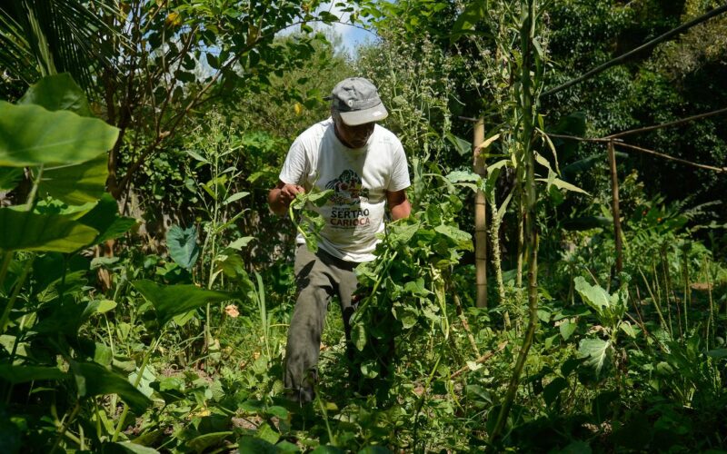 Edital seleciona 36 projetos para fortalecer agricultura familiar