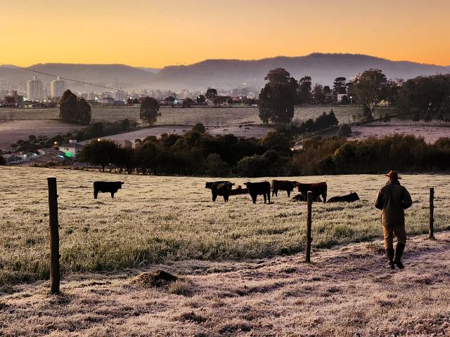Epagri de Lages orienta sobre cuidados com pastagens e rebanhos no inverno