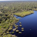 Fundo Amazônia bate recorde ao destinar mais de R$ 1 bilhão em 2025