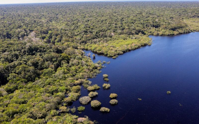 Fundo Amazônia bate recorde ao destinar mais de R$ 1 bilhão em 2025