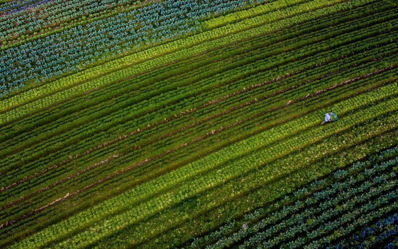 Governador de Santa Catarina alerta para impactos na economia com taxação sobre letras de crédito