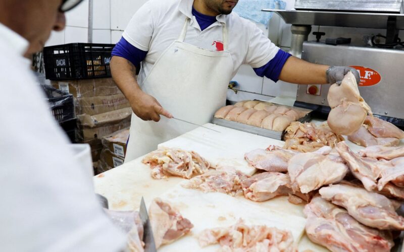 Gripe aviária: 17 países suspendem restrição à carne brasileira 