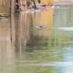 Inmet emite alerta vermelho para chuvas no Rio Grande do Sul