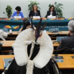 Mulheres parlamentares e executivas defendem expansão do crédito feminino pelo banco do BRICS - Notícias