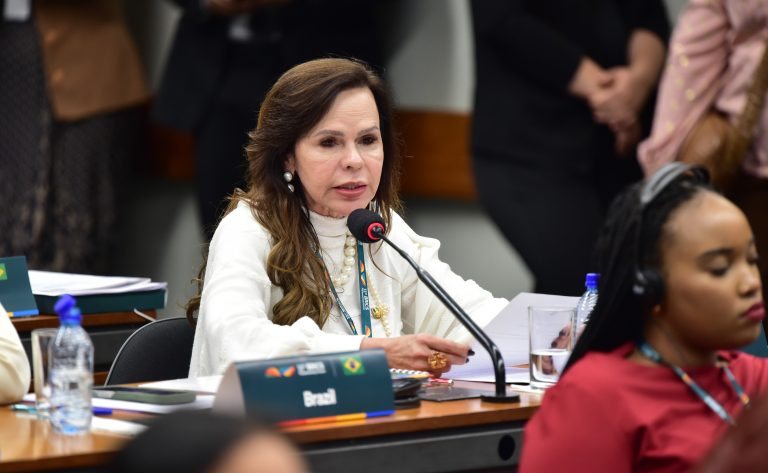 Parlamentares mulheres cobram ações robustas para promover igualdade de gênero no BRICS - Notícias