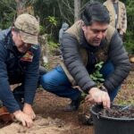 Parque do Rio Vermelho recebe plantio de novas mudas de espécies nativas