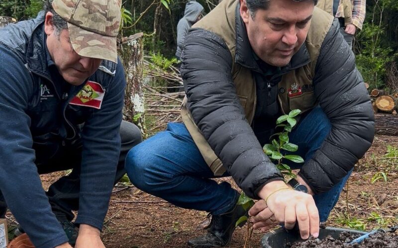 Parque do Rio Vermelho recebe plantio de novas mudas de espécies nativas