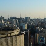 Prédios com vidraças nas cidades ameaçam aves, aponta pesquisa