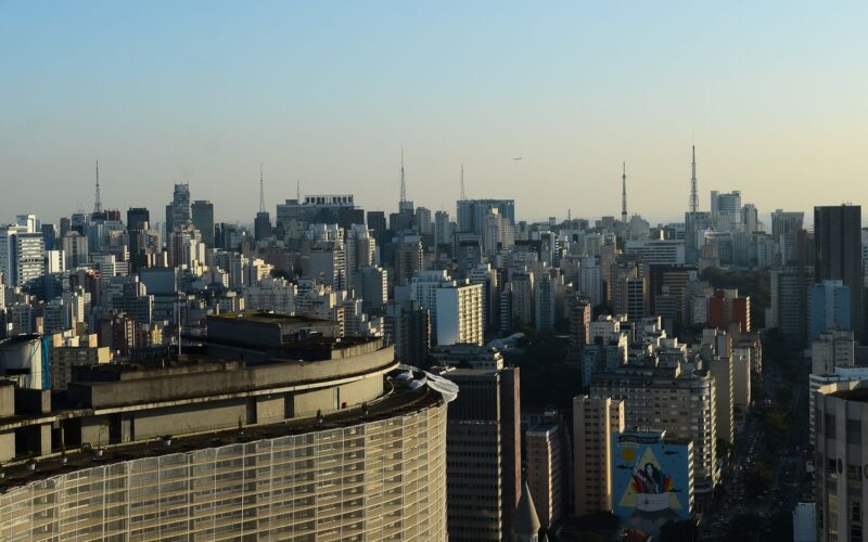 Prédios com vidraças nas cidades ameaçam aves, aponta pesquisa