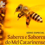 Programa Panorama Agrícola lança série especial de podcasts sobre mel catarinense