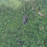 Reserva Biológica Estadual da Canela Preta comemora 45 anos de história e preservação