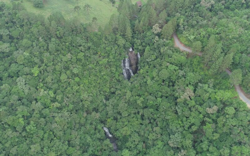 Reserva Biológica Estadual da Canela Preta comemora 45 anos de história e preservação