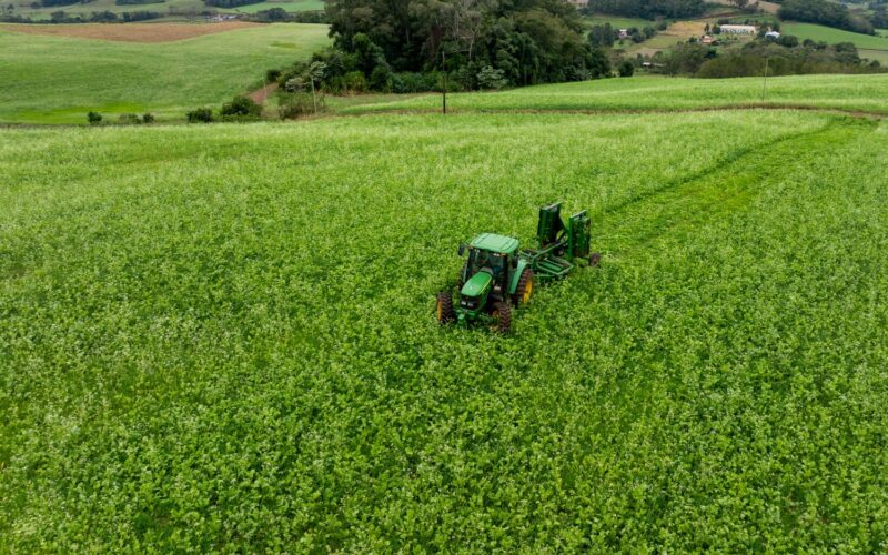 Santa Catarina investe em agricultura sustentável com distribuição de kits para cobertura vegetal