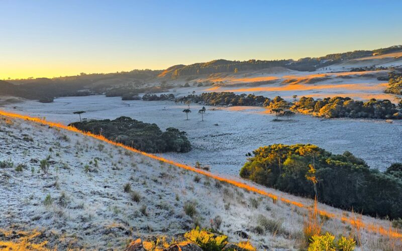 Santa Catarina registra temperatura mais baixa do ano com -6,5°C em São Joaquim