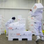 Sine Santa Catarina oferece mais de 8 mil vagas em todo o estado