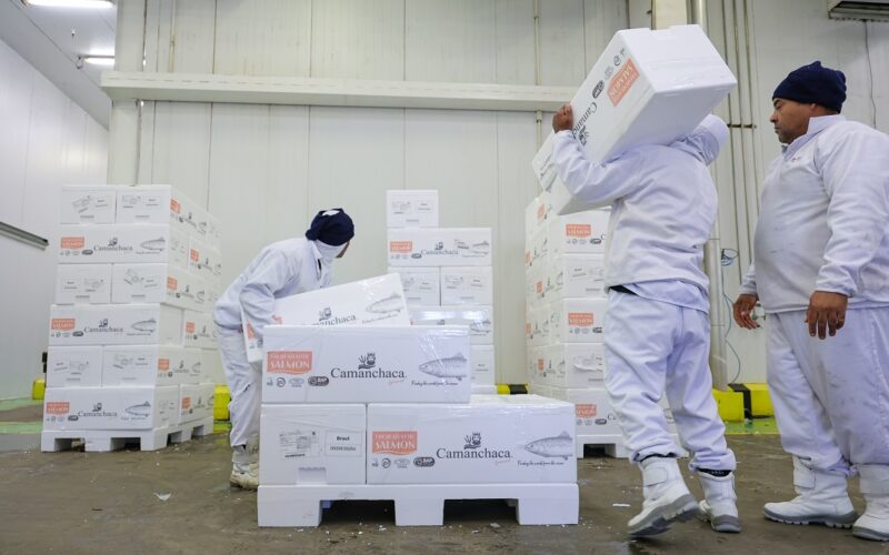 Sine Santa Catarina oferece mais de 8 mil vagas em todo o estado
