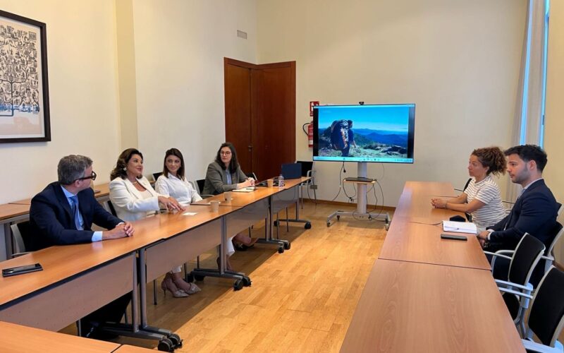 Vice-governadora de Santa Catarina reforça atrativos do estado em reunião com líderes da maior associação empresarial da Espanha