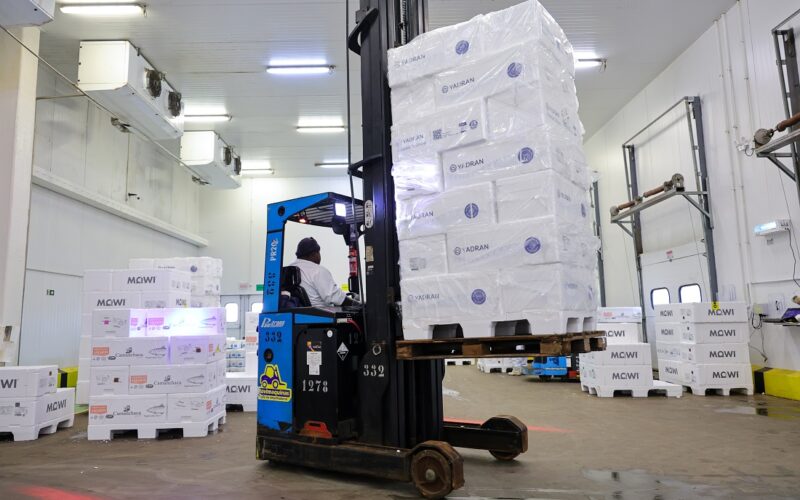 Atividade econômica de Santa Catarina cresce 6,1% nos cinco primeiros meses do ano