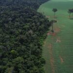 Brics: financiamento climático é responsabilidade de países ricos