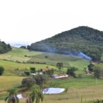 Com incentivo do Estado, produtor catarinense pode ter financiamento com juro zero no Plano Safra