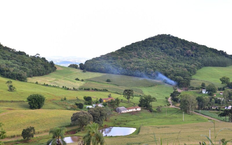 Com incentivo do Estado, produtor catarinense pode ter financiamento com juro zero no Plano Safra