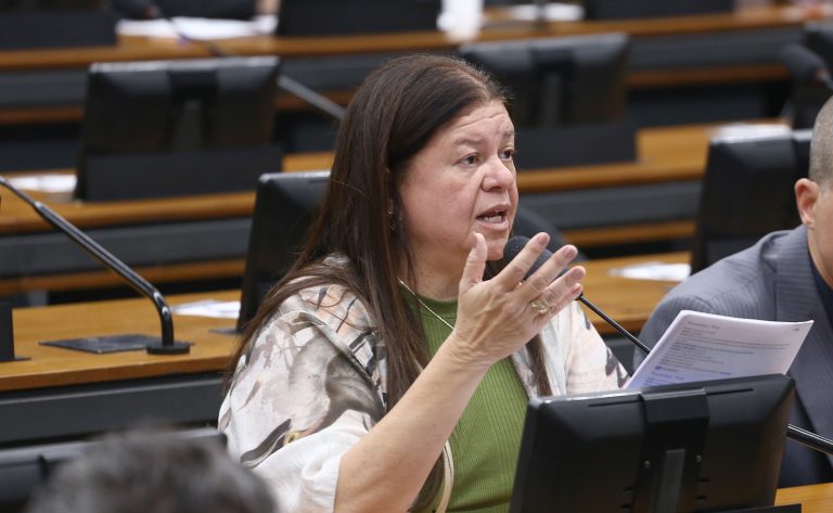 Comissão aprova incentivo a práticas sustentáveis como diretriz da política de agricultura familiar - Notícias