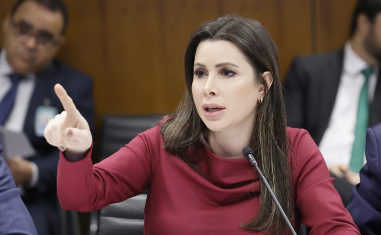 Comissão aprova projeto que prevê uso de algoritmos no combate a crimes digitais contra crianças e adolescentes - Notícias