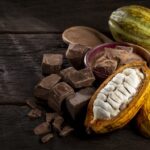 Comissão debate sustentabilidade na produção e na comercialização de cacau e chocolate – Notícias