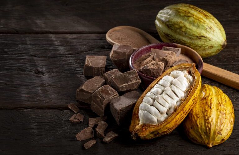 Comissão debate sustentabilidade na produção e na comercialização de cacau e chocolate - Notícias