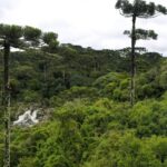 Deputados podem votar hoje o projeto que muda as regras do licenciamento ambiental – Notícias