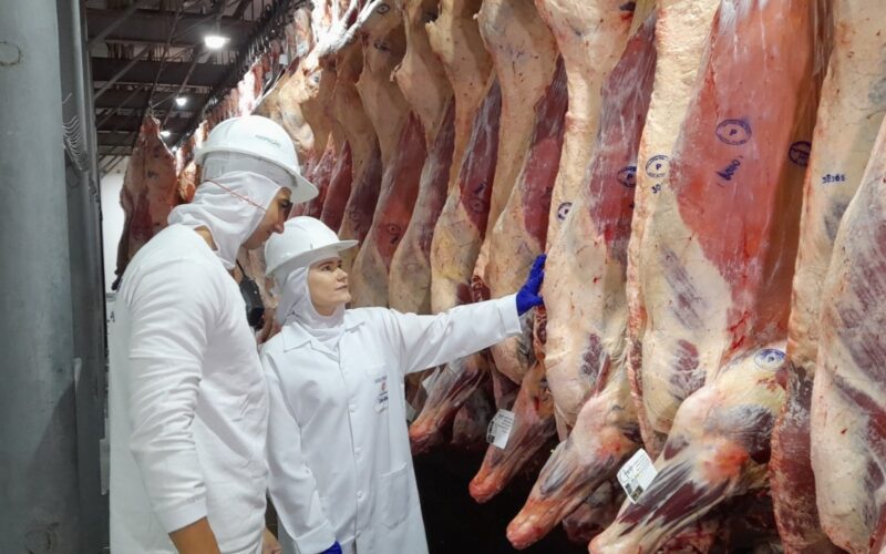 Dia Mundial das Zoonoses: cuidar da saúde animal é cuidar da saúde humana