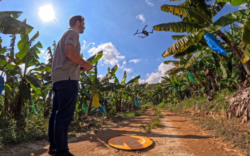 Drones reforçam defesa contra pragas e ajudam Santa Catarina a liderar exportações de banana