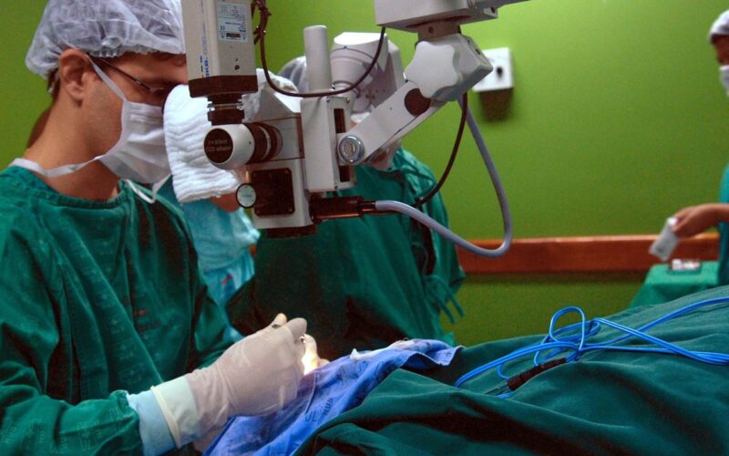 Exames são importantes para diagnóstico do câncer de intestino