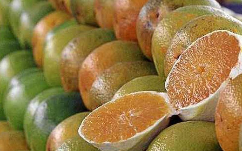 Exceções do tarifaço representam 43,4% do valor exportado aos EUA