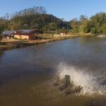 Extensionistas criam metodologia de governança territorial para medir sustentabilidade na aquicultura